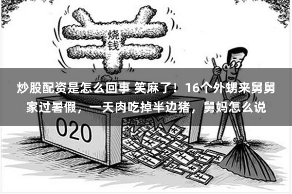 炒股配资是怎么回事 笑麻了！16个外甥来舅舅家过暑假，一天肉吃掉半边猪，舅妈怎么说