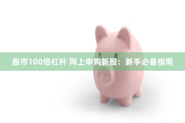 股市100倍杠杆 网上申购新股：新手必备指南