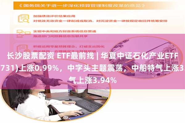 长沙股票配资 ETF最前线 | 华夏中证石化产业ETF(159731)上涨0.99%，中字头主题震荡，中船特气上涨3.94%