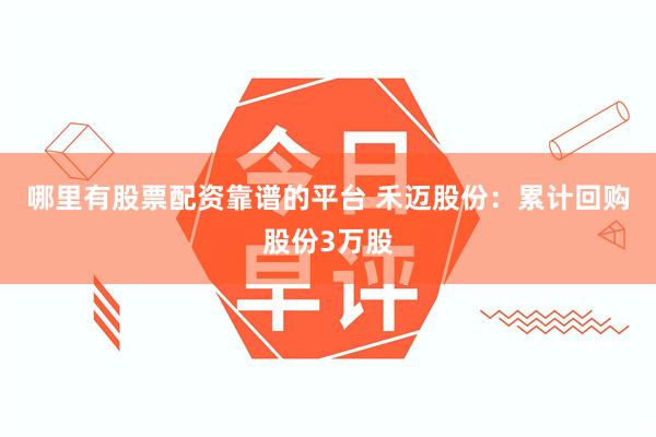 哪里有股票配资靠谱的平台 禾迈股份：累计回购股份3万股