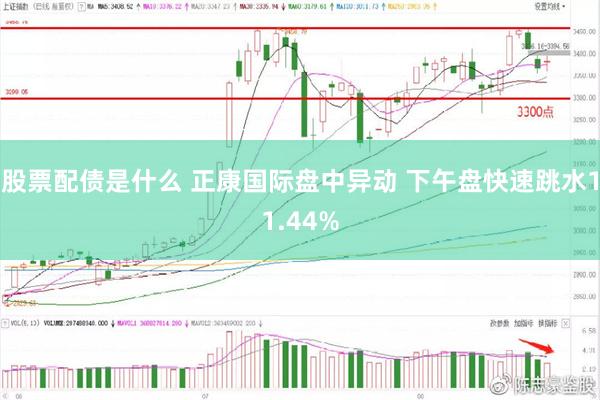 股票配债是什么 正康国际盘中异动 下午盘快速跳水11.44%