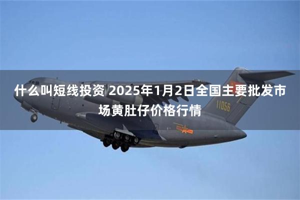 什么叫短线投资 2025年1月2日全国主要批发市场黄肚仔价格行情