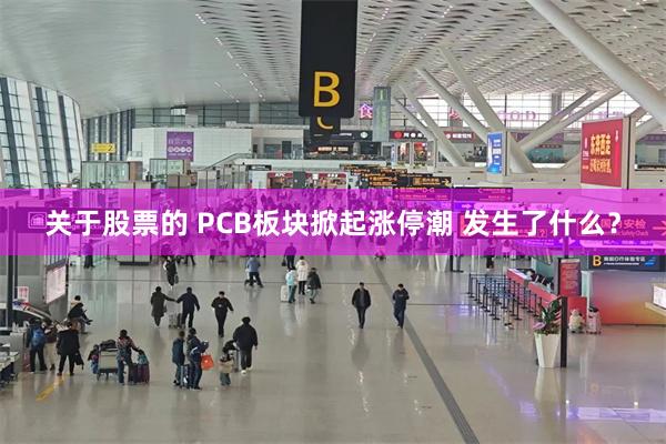 关于股票的 PCB板块掀起涨停潮 发生了什么？