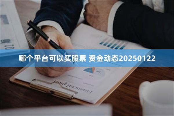 哪个平台可以买股票 资金动态20250122