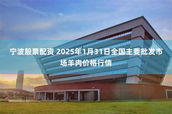 宁波股票配资 2025年1月31日全国主要批发市场羊肉价格行情