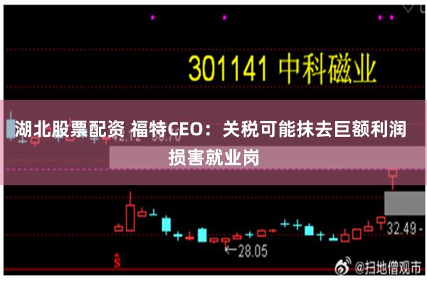 湖北股票配资 福特CEO：关税可能抹去巨额利润 损害就业岗