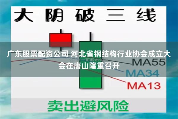 广东股票配资公司 河北省钢结构行业协会成立大会在唐山隆重召开