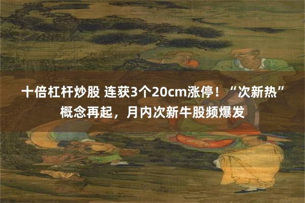 十倍杠杆炒股 连获3个20cm涨停！“次新热”概念再起，月内次新牛股频爆发